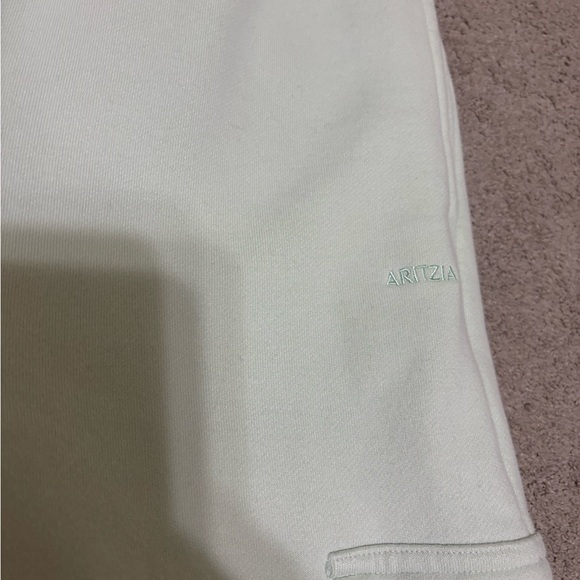 Aritzia Cargo Joggers in Soft Mint - Picture 4 of 4